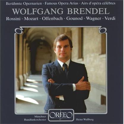 Wolfgang Brendel & Diverse/Oper - Opernarien