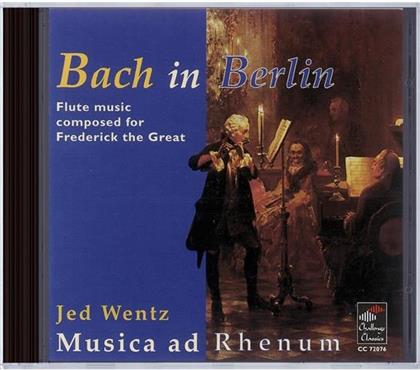 Jed Wentz & Bach/Bach/Graun - Bach In Berlin