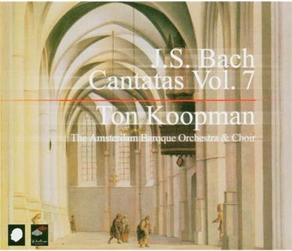 Koopman Ton / Amsterdam Baroque & Johann Sebastian Bach (1685-1750) - Kantaten Vol.07 (3 CD)