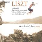 Arnaldo Cohen & Liszt - Klavierwerke