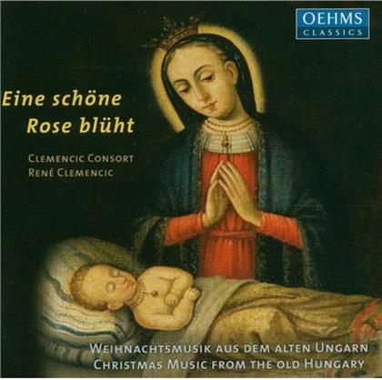 Clemencic Consort & Diverse Weihnacht - Schöne Rose Blüht