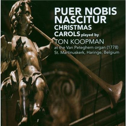 Ton Koopman & Diverse Weihnacht - Christmas Carols (Orgel)