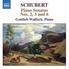 Gottlieb Wallisch & Franz Schubert (1797-1828) - Klavierson Nr 2+3+6