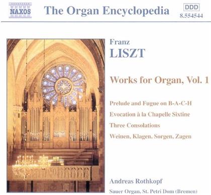 Rothkopf & Liszt - Orgelwerke Vol 1