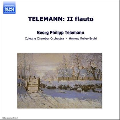 Rothert & Georg Philipp Telemann (1681-1767) - Il Flauto Dolce