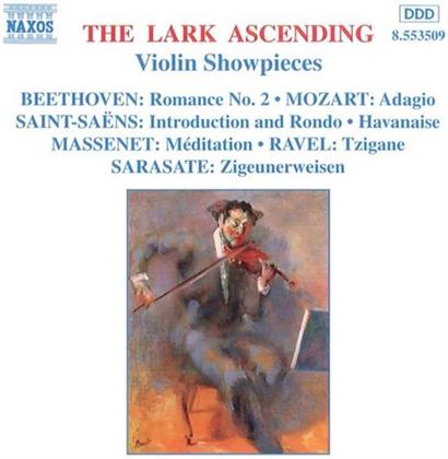 Various & Various - The Lark Ascending