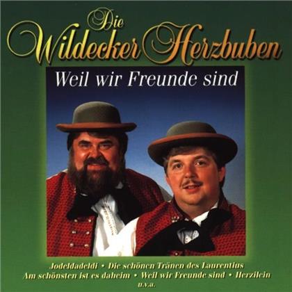 Die Wildecker Herzbuben - Weil Wir Freunde Sind
