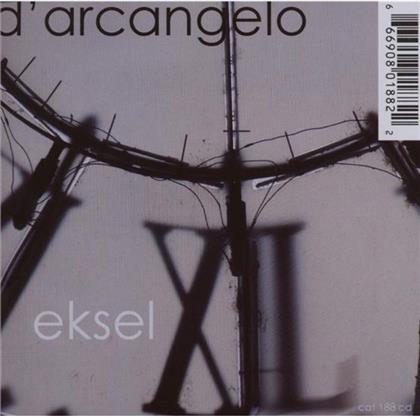 D'arcangelo - Exsel