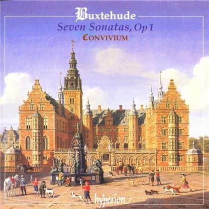 Convivium & Dietrich Buxtehude (1637-1707) - Seven Sonatas