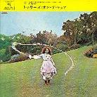 Trees - On The Shore (Japan Edition, 2 CDs)