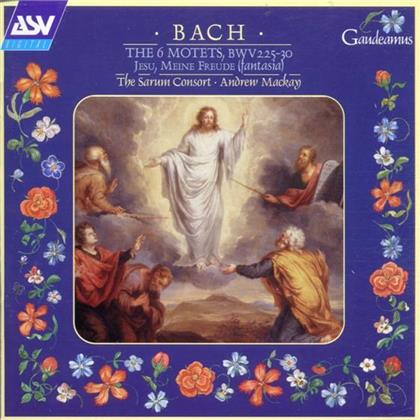 Robert Quinney & Johann Sebastian Bach (1685-1750) - Motette : Fantasie Auf Jesu Meine Freude