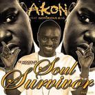 Akon - Soul Survivor