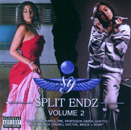 Ny - Split Endz 2