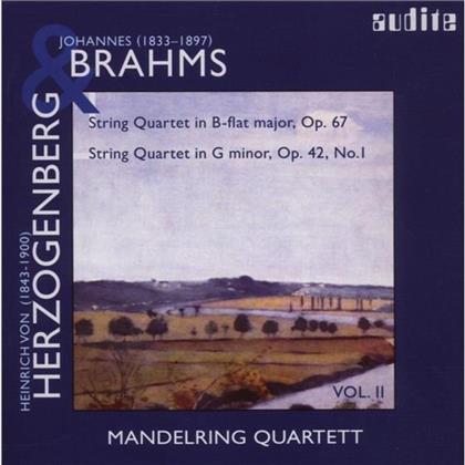 Mandelring Quartett & Herzogenberg - Streichquartette
