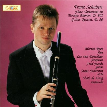 Leo van Doeselaar & Franz Schubert (1797-1828) - Introduktion & Variation D802