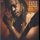 Habib Koite - Afriki