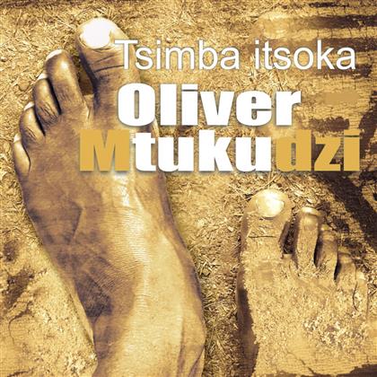 Oliver Mtukudzi - Tsimba Itsoka
