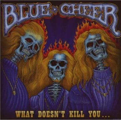 Blue Cheer - What Doesn't Kill You