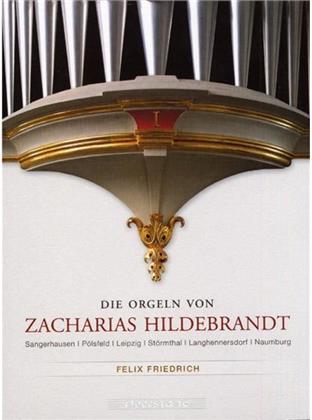 Felix Friedrich & Divers - Die Orgeln Von Zacharias Hilde