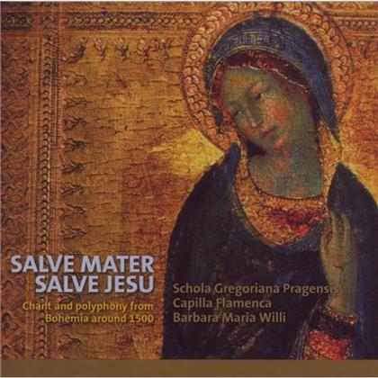 Schola Gregoriana Pragensis, C & Divers - Salve Mater Salve Jesu Chant &