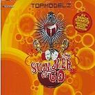 Topmodelz - Summer Of 69