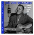 Big Joe Williams - Essential Blue Archive