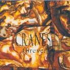 Cranes - Forever (New Version, Remastered)