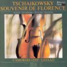 Camerata Lysy Gstaad & Tschaikowsky/Bloch/Atterberg/Puccini/Wag - Souvenir De Florence - Music For Strings