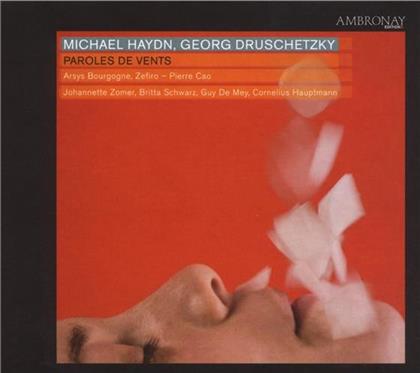 Choeur Arsys Bourgogne & Haydn Michael/Druschetzky - Messen - Paroles Des Vents