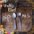 Wallis Bird - Spoons