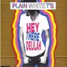 Plain White T's - Hey There Delilah - 2Track