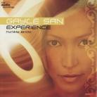 Gayle San - Experience