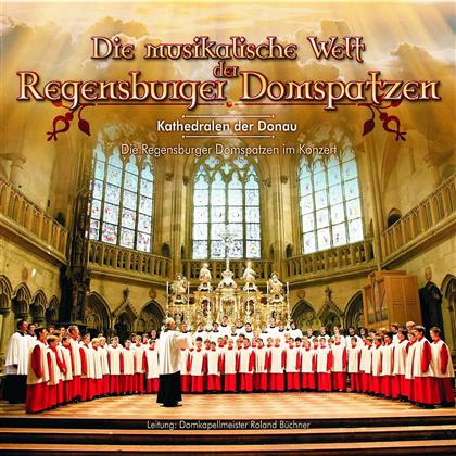 Regensburger Domspatzen & --- - Musikalische Welt Der Regensburger Doms.