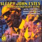Sleepy John Estes - On The Chicago Blues Scene