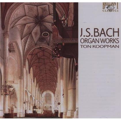 Ton Koopman & Johann Sebastian Bach (1685-1750) - Orgelwerke
