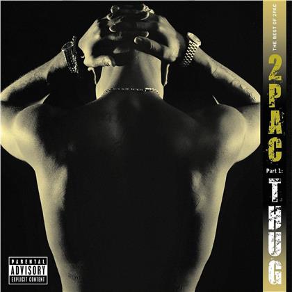 2 Pac - Best Of Part 1 - Thug