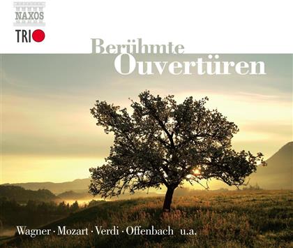 --- & Various - Berühmte Ouvertüren (3 CDs)