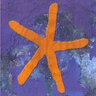 Fish (Marillion) - 13Th Star