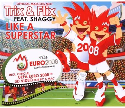 Trix & Flix Feat. Shaggy - Like A Superstar