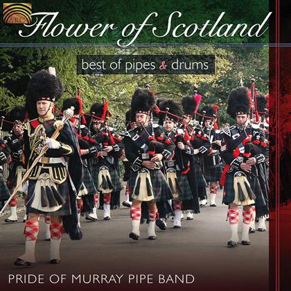 Flower Of Scotland - Best Of Pipes & Drums