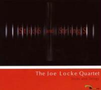 Joe Locke - Sticks And Strings