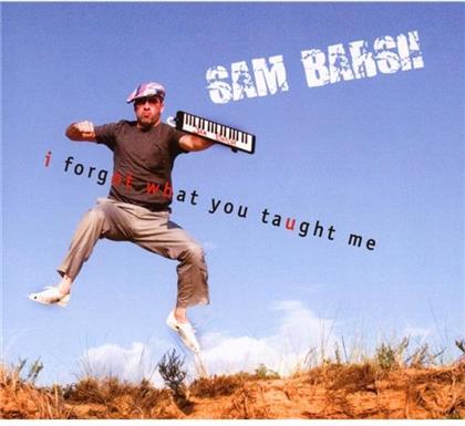 Sam Barsh - I Forgot What You Taught Me