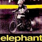Elephant - ---