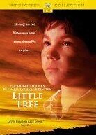 Die Abenteuer des kleinen Indianerjungen Little Tree