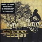 Sander Van Doorn - Supernaturalistic