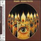 The Strawbs - Burning For You