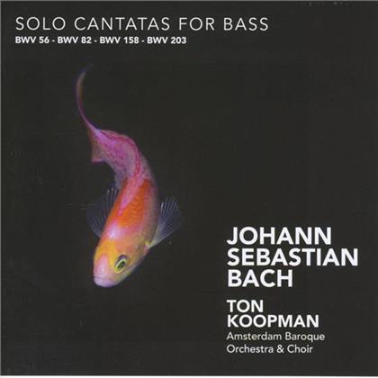 Koopman Ton / Mertens Klaus & Johann Sebastian Bach (1685-1750) - Cantatas F.Bass
