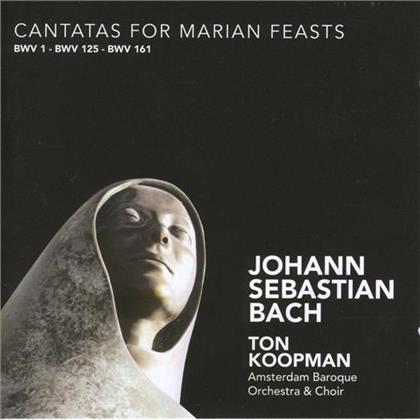 York/Bartosz/V.Magnu & Johann Sebastian Bach (1685-1750) - Cantatas F.Marian Feasts