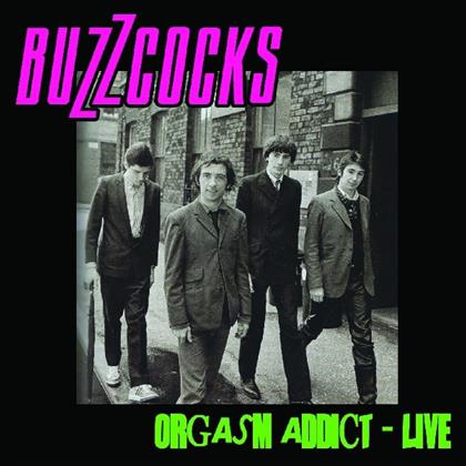 Buzzcocks - Orgasm Addict - Live