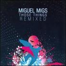 Miguel Migs - Those Things Remixed